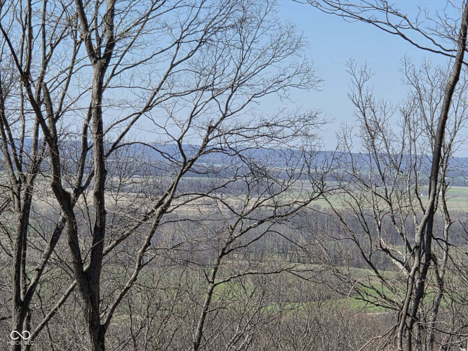 Listing Image 34