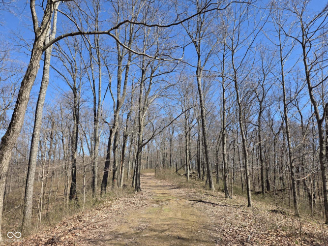 Listing Image 36