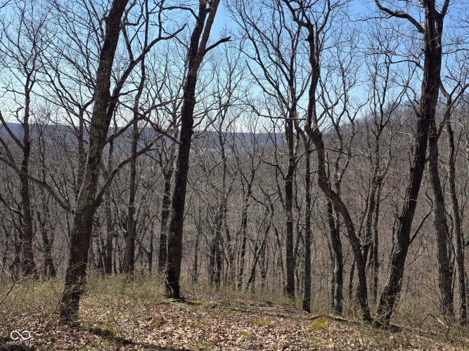 Listing Image 38