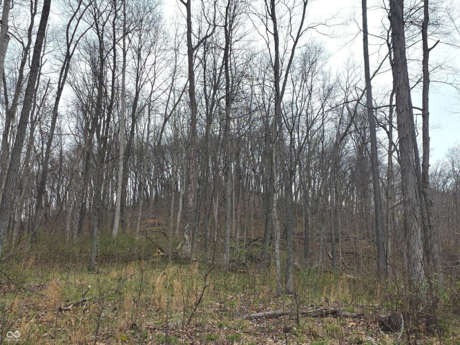 Listing Image 56