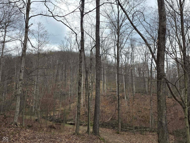Listing Image 57