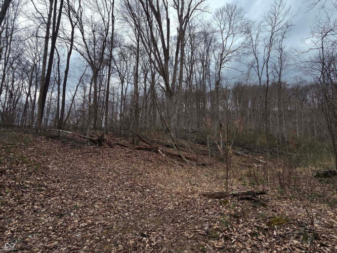 Listing Image 62