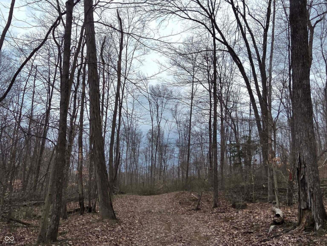 Listing Image 63