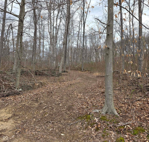 Listing Image 70