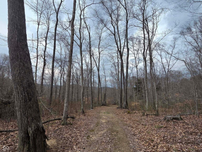 Listing Image 72