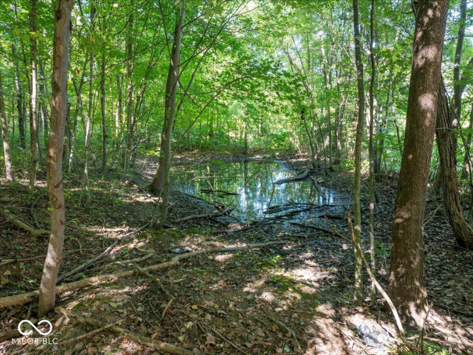 Listing Image 53