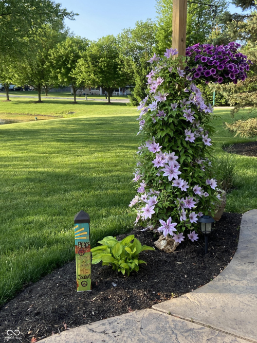 Listing Image 55