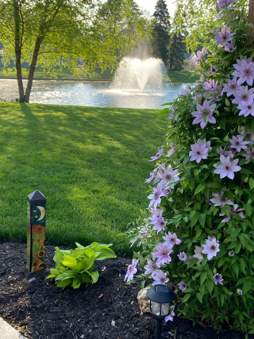 Listing Image 56