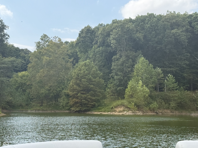 Listing Image 35