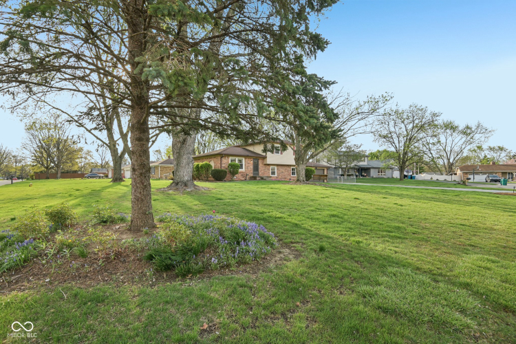 Listing Image 42