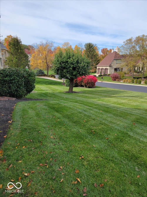 Listing Image 74