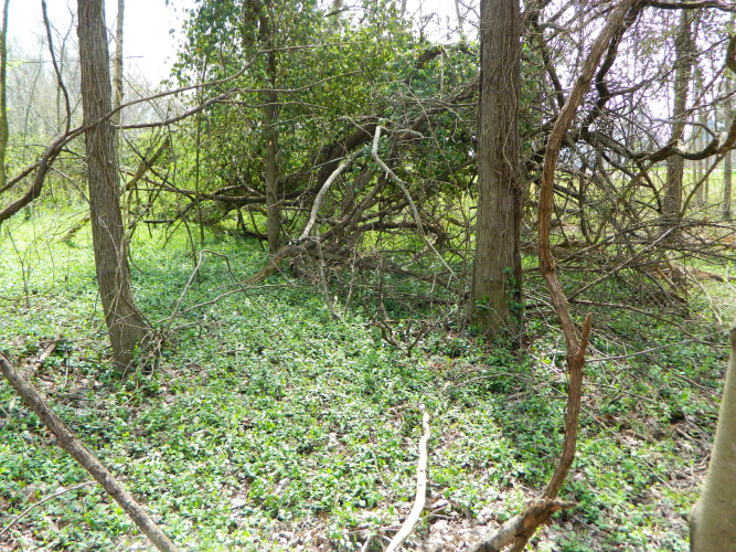 Listing Image 8