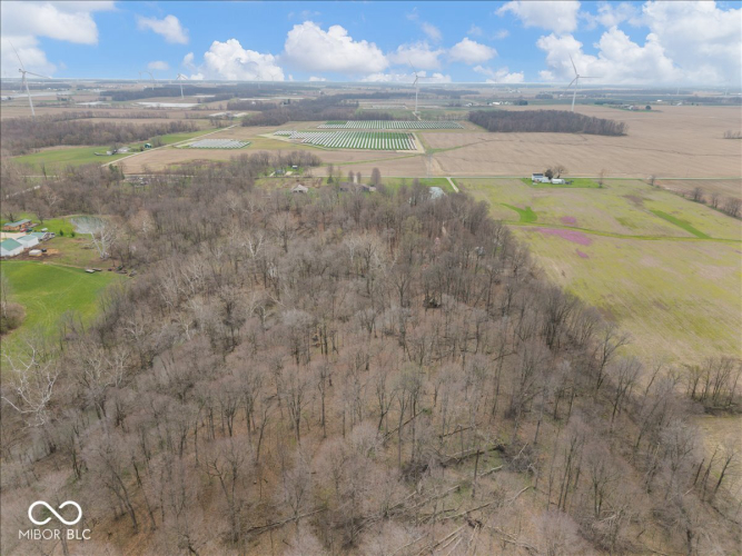 Listing Image 55