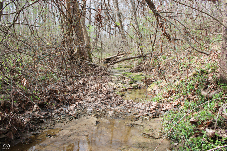Listing Image 24