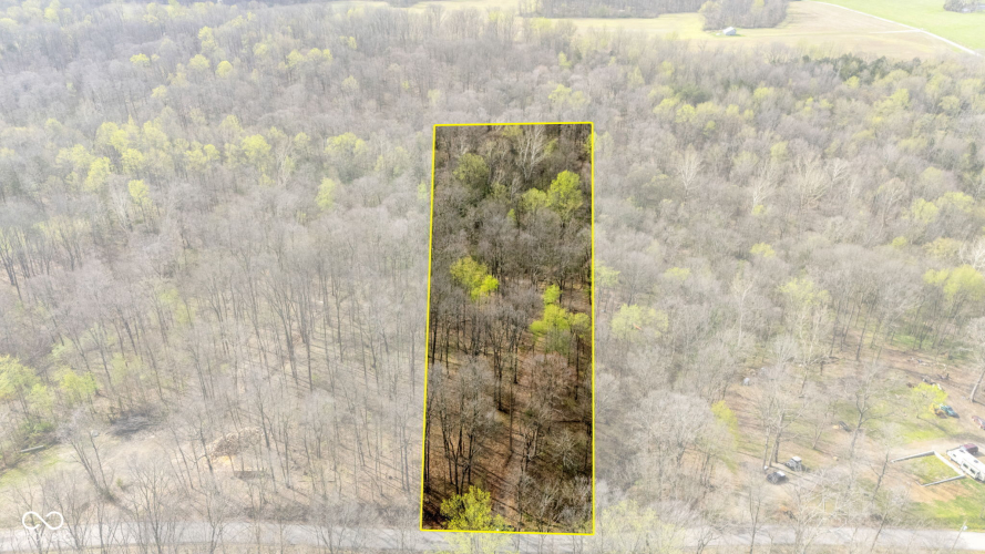 Listing Image 4