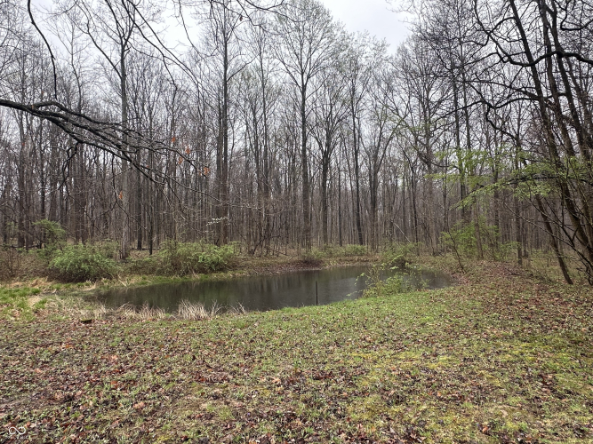Listing Image 17