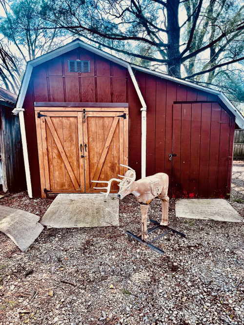 Listing Image 45