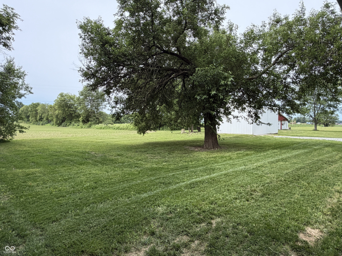 Listing Image 72