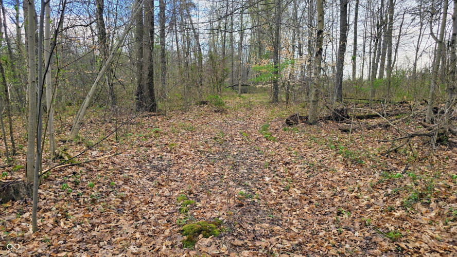 Listing Image 16