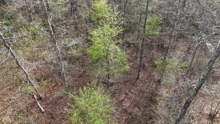 Listing Image 43