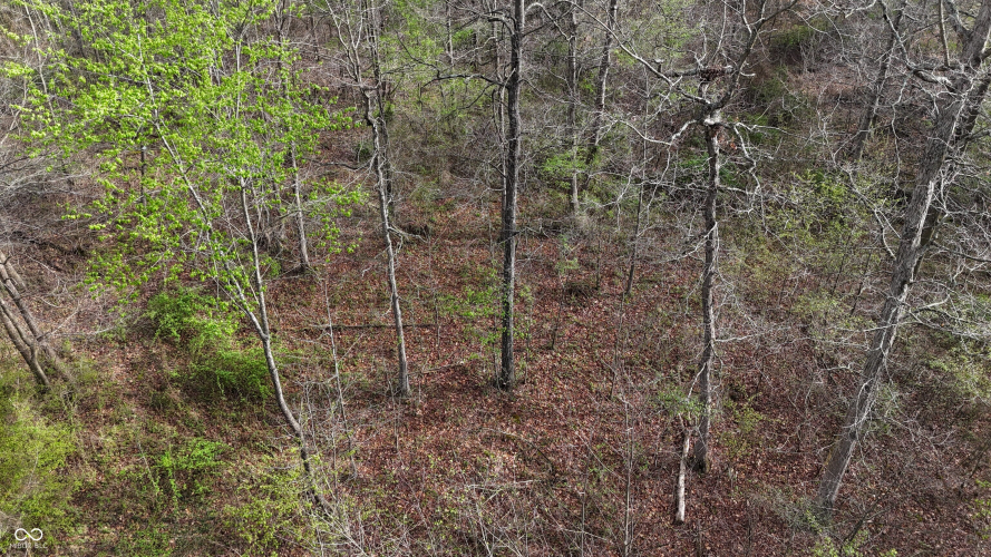 Listing Image 44