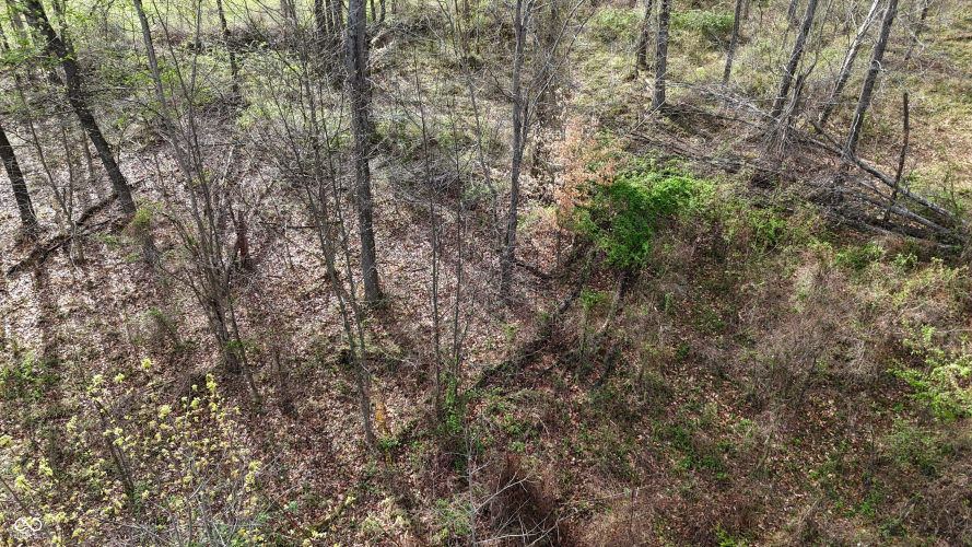 Listing Image 45