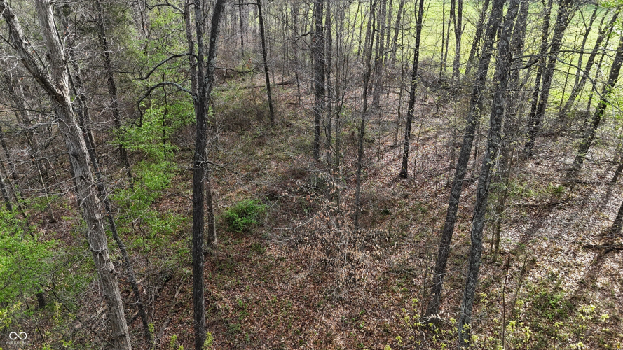 Listing Image 46