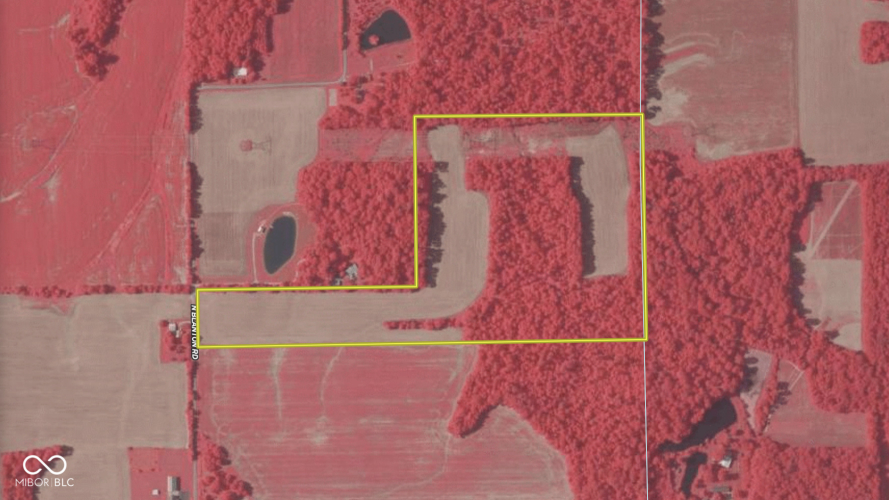 Listing Image 52