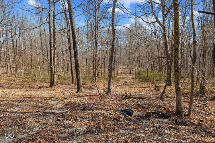Listing Image 8