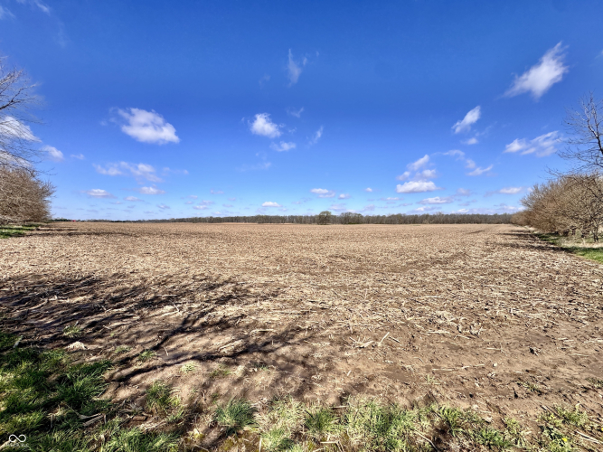 Listing Image 28