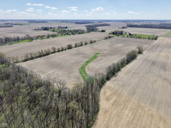 Listing Image 49