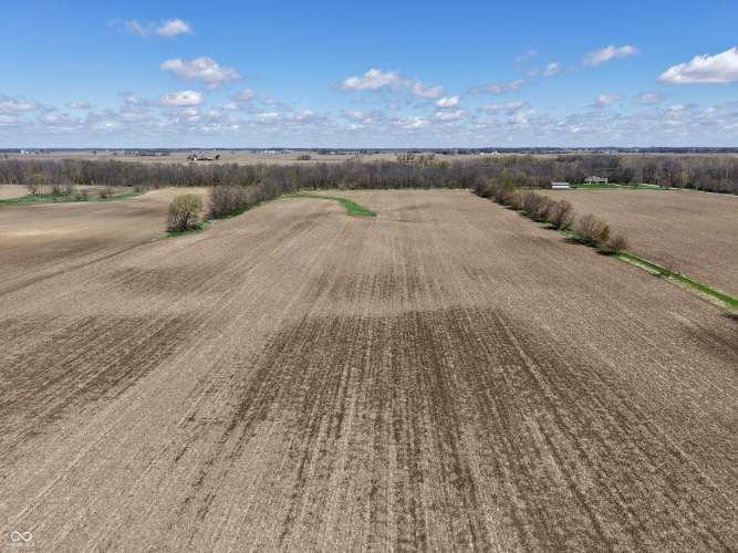 Listing Image 50