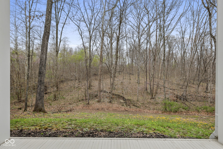 Listing Image 62
