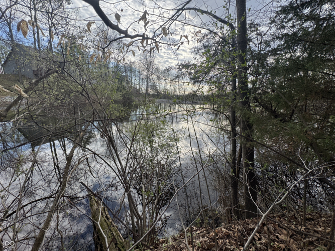 Listing Image 34
