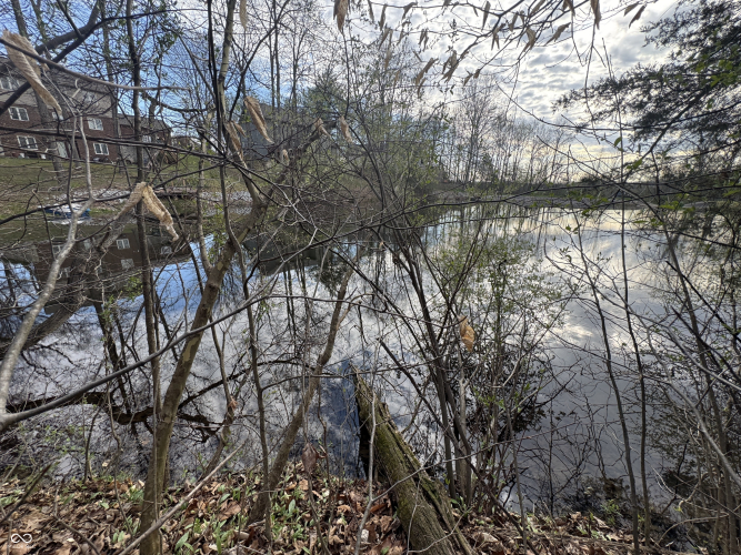 Listing Image 41