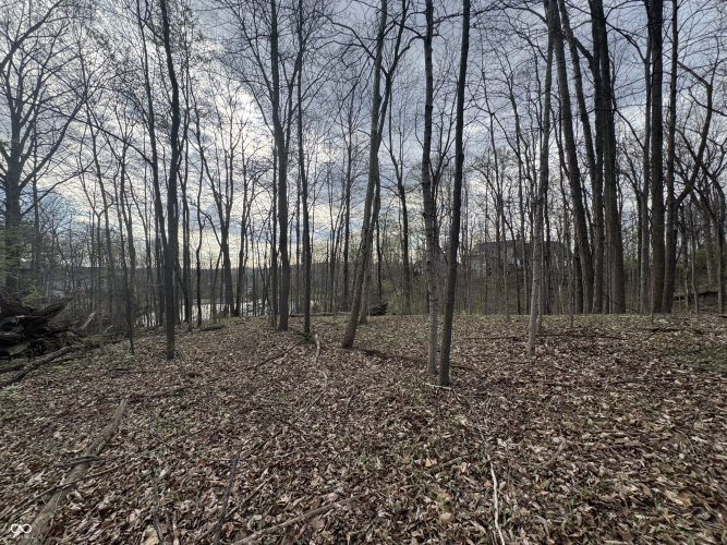 Listing Image 44