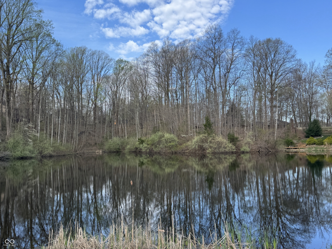 Listing Image 48