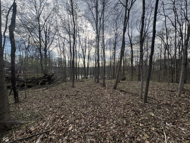 Listing Image 51