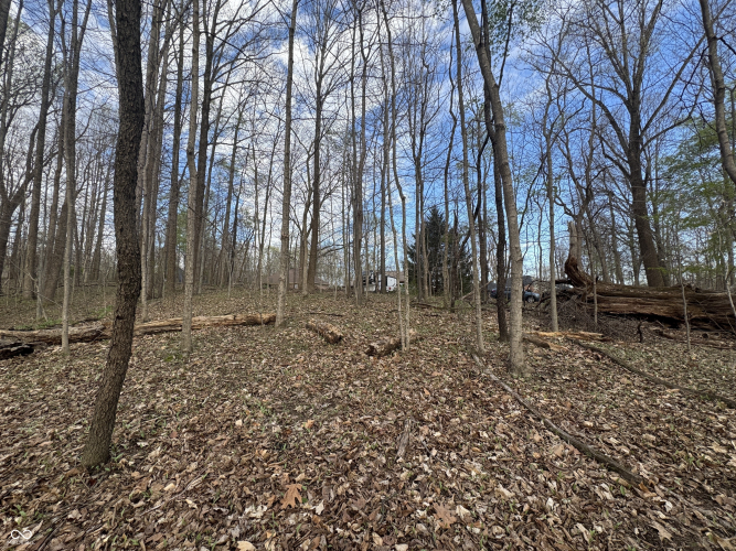 Listing Image 53