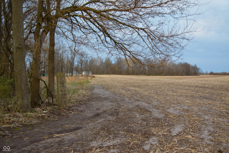 Listing Image 24