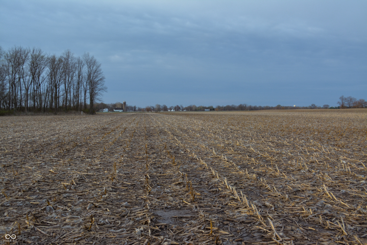 Listing Image 29