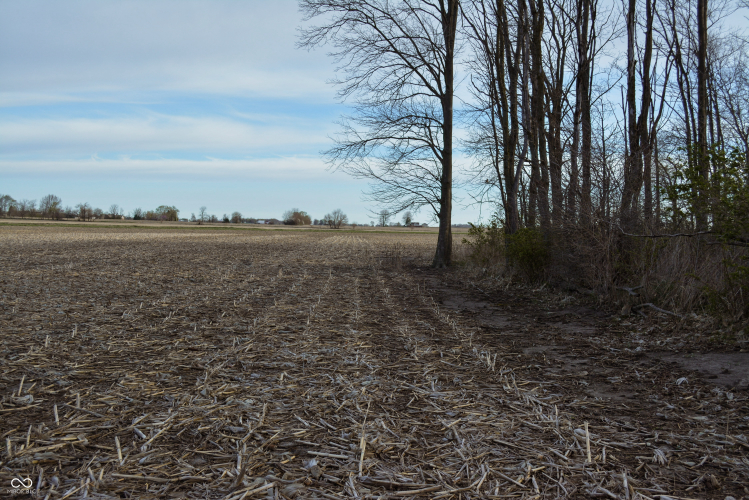 Listing Image 38