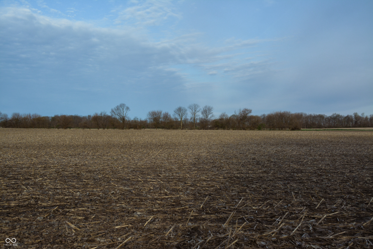 Listing Image 39