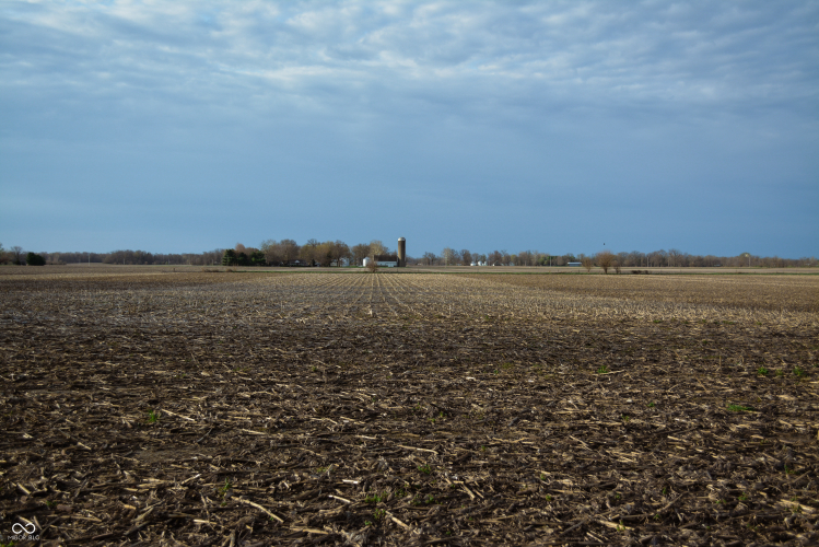 Listing Image 40