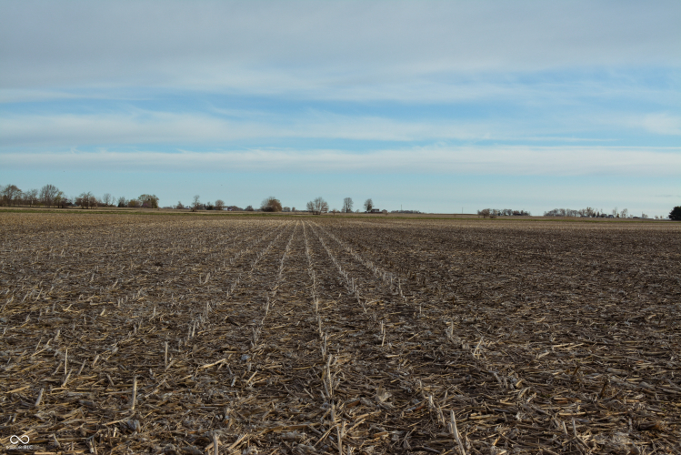 Listing Image 44