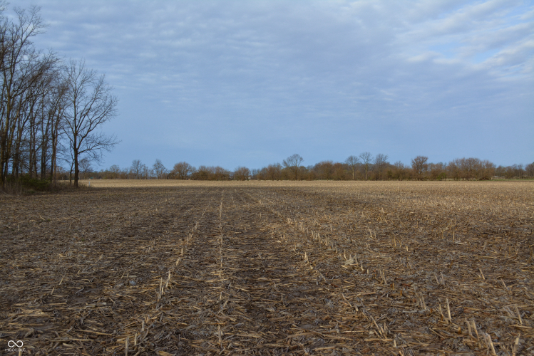 Listing Image 45