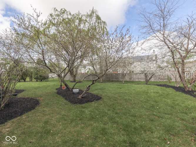 Listing Image 79