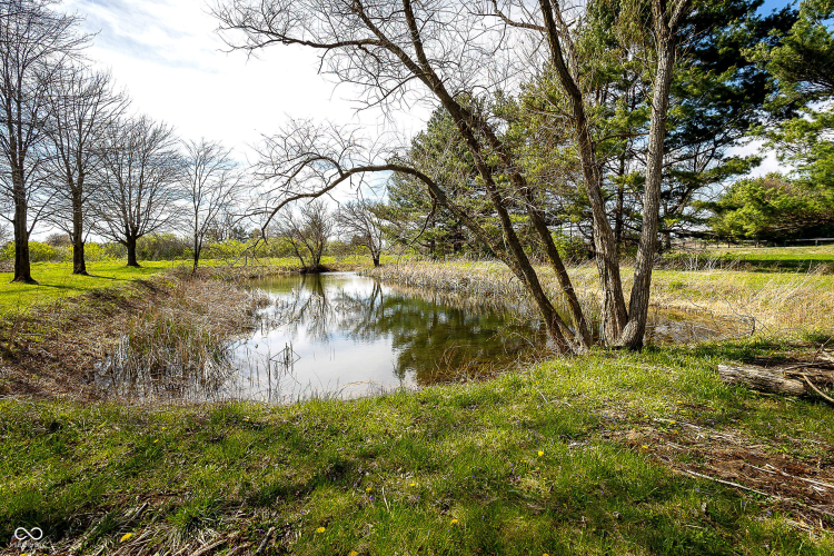 Listing Image 54