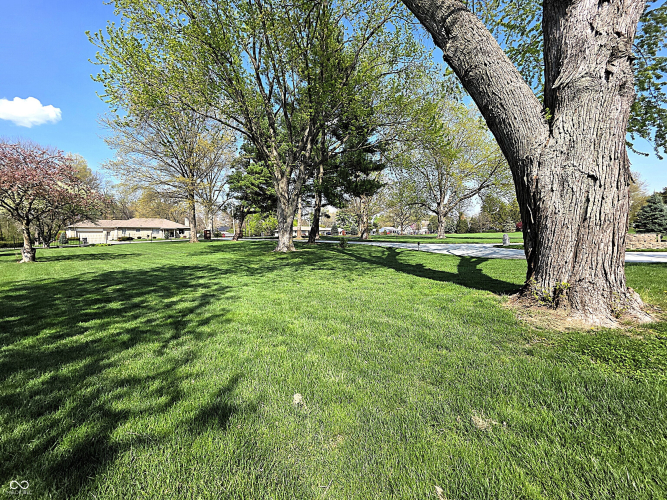Listing Image 66