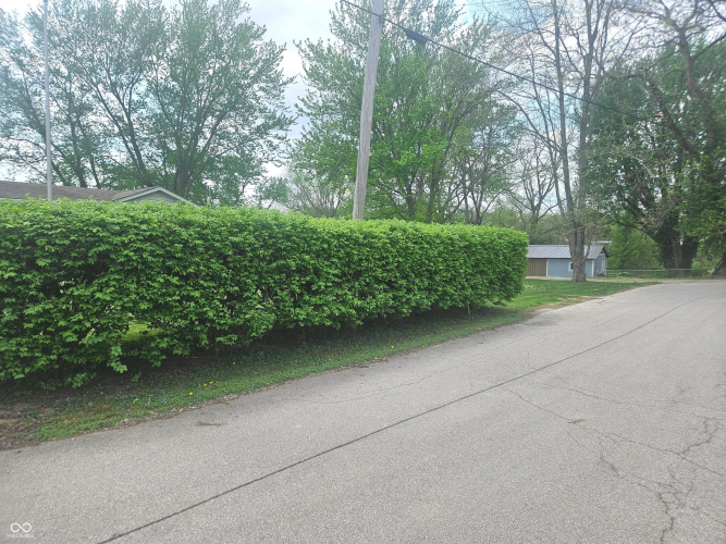 Listing Image 14
